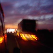 Palehorse (USA) : Habitual Linestepper